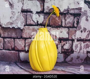 A dandelion that blooms early Swedish summer in a yellow vase with a stone wall as a background Stock Photo