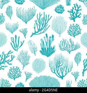 Sea corals, sponges and seaweed seamless pattern. Marine life background, ocean bottom species, aquarium animals and plants, underwater flora and faun Stock Vector