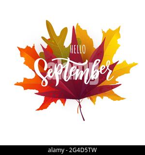 September text. Hand lettering typography. Stock Vector