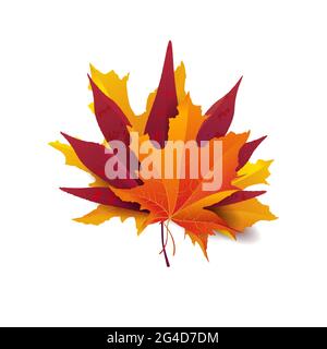 Set of beautiful bright autumn leaves. Great for background, card, banner, icon template. Vector illustration. Stock Vector