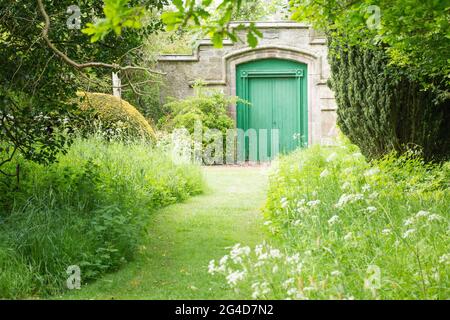 Green painted door into a walled secret garden hidden away down a wild flower lined path in the English countryside in the summer time