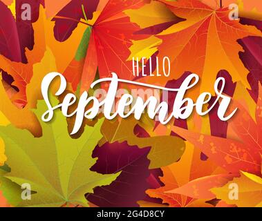 September text. Lettering typography. Vector illustration Stock Vector ...