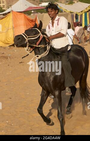 Man riding a horse at the annual Pushkar Fair in Rajasthan, India Stock Photo