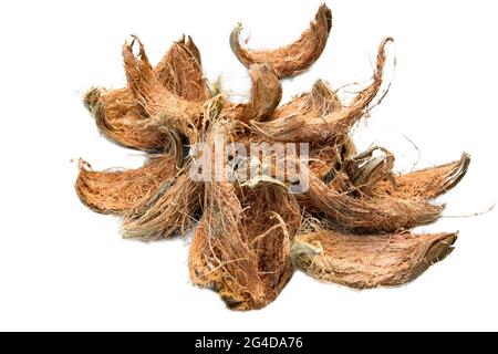 Natural chopped coconut peel on white isolated Stock Photo
