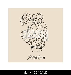 postcard template with indoor flower in the pot Stock Vector