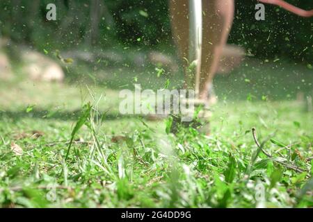 Grass cutting. Man using grass trimmer to mow lawn. Defocused. Machine in motion and grass particles in the air. Stock Photo