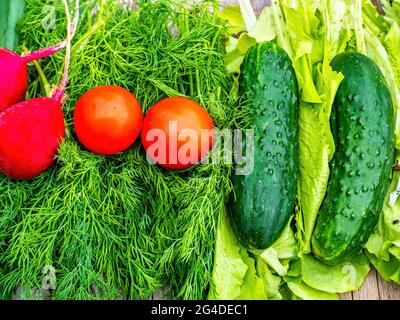 Cucumbers with tomatoes and radishes on vegetable salad greens. Green cucumber. Red tomato. Red radish. Vegetable salad. Onions and parsley. Dill and Stock Photo