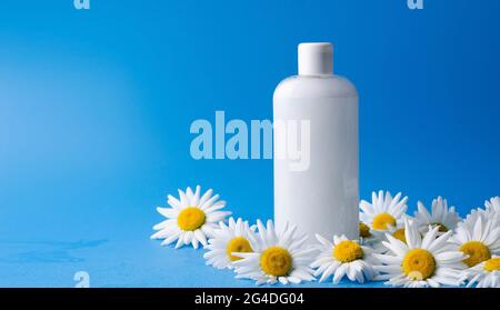 Shampoo, shower gel, white liquid soap with natural ingredients in a transparent bottle on a blue background with camomiles Stock Photo