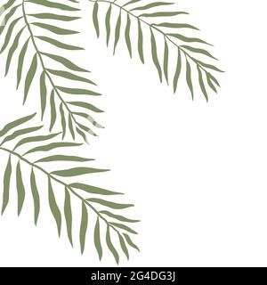 Tropical background with leaves with space for your design.Stock vector illustration isolated on white background. Stock Vector