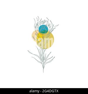 Abstract Linear Peacock Feather.Pavonine Feather peacock bird hand drawn designer elements.Stock vector illustration isolated on white background Stock Vector