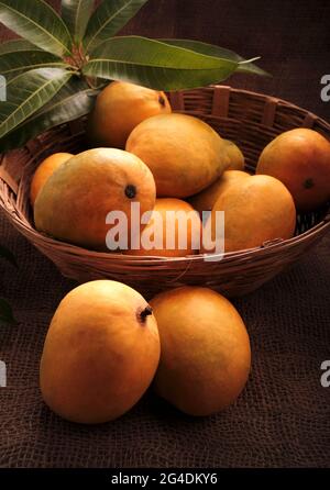 Mango fruits in wooden basket with leaf after harvest from farm, Mango fruits with leaf on Jute background.
