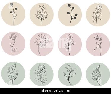 Instagram highlights, vector. Social media cover icons set. Botanical elements branch flower leaf berry. Round icons to indicate basic elements. Hand Stock Vector