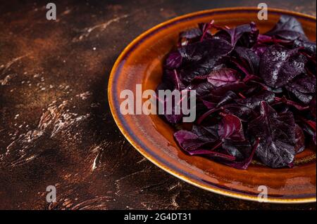 Raw Ruby or red chard salad Leafs on a rustic plate. Dark background. Top view. Copy space Stock Photo