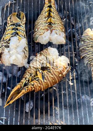 Spiny lobsters cooked and grilled on a barbecue grill in a garden Stock Photo