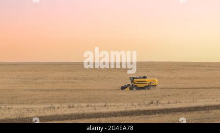 Combine harvester collects wheat in the field Stock Photo