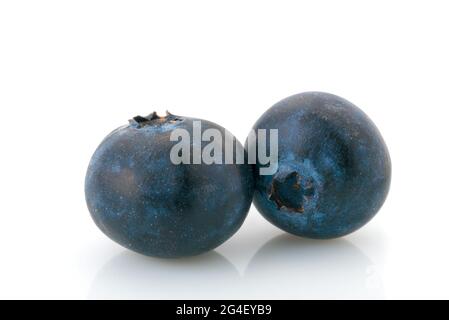 blueberries isolated on white, close up of two berries with copy space Stock Photo