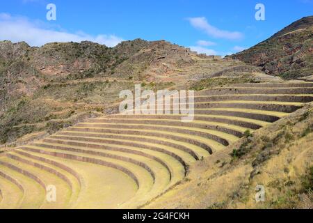 Walled terraces in the Inca ruin complex, Pisac, Cusco region, Urubamba province, Peru Stock Photo