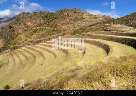 Walled terraces in the Inca ruin complex, Pisac, Cusco region, Urubamba province, Peru Stock Photo