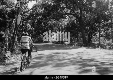 A sunlit village road with trees on both sides and a person passing through on a bicycle. Black and white image. Stock Photo