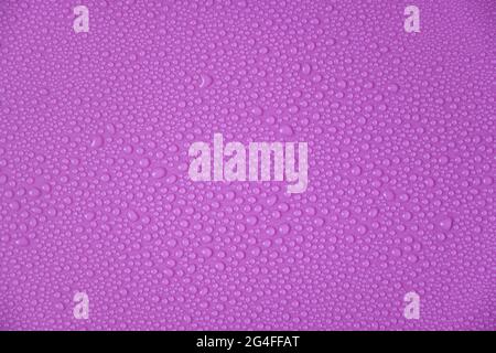 Water drops on a purple background. Stock Photo