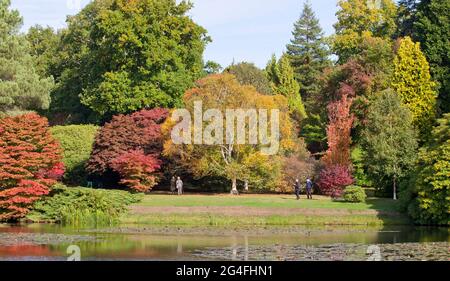 Visitors enjoy the glorious autumnal beauty on display at Sheffield Park and Gardens in East Sussex, England, October 2020.  Famous for autumn colour Stock Photo