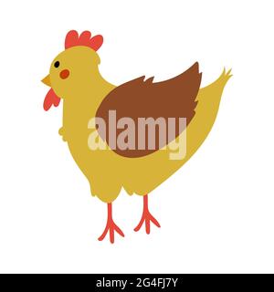 Yellow and Brown hen, poultry breeding vector Stock Vector