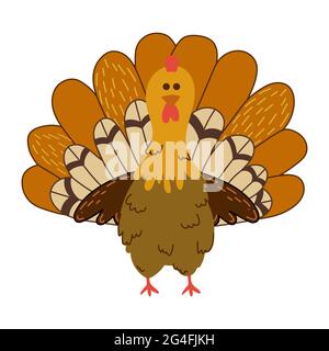 Cute flat turkey vector illustration. Farm bird  Stock Vector