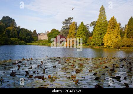 Looking across the upper lake towards Sheffield Park House ( privately owned )  at Sheffield Park and Gardens in East Sussex, England, October 2020. Stock Photo