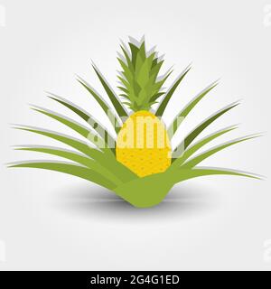 Pineapple tree isolated on a gray background with shadow. Editable. Stock Vector