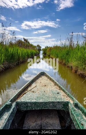 Sailing through a channel of the Calaix Gran lake, on the Buda island in the Ebro Delta (Tarragona, Catalonia, Spain) Stock Photo