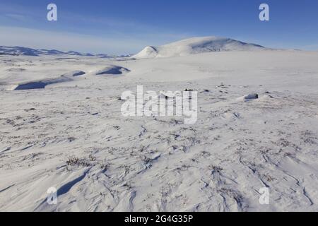 Snow covered mountain Kolla in winter, Dovrefjell-Sunndalsfjella-National Park, Norway Stock Photo