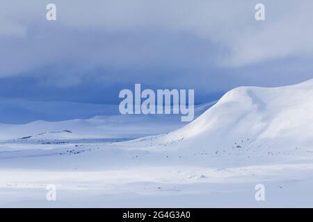 Snow covered mountain Kolla in winter, Dovrefjell-Sunndalsfjella-National Park, Norway Stock Photo