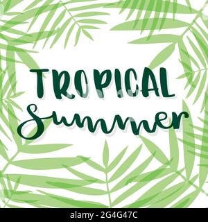 Tropical summer lettering. Tropical leaves. Vector illustration, flat design Stock Vector