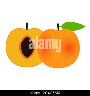 Sliced and whole peach. White background. Isolated. Stock Vector