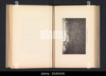 Forest near Kimbongo; La Brousse Près de Kimbongo I Stock Photo - Alamy