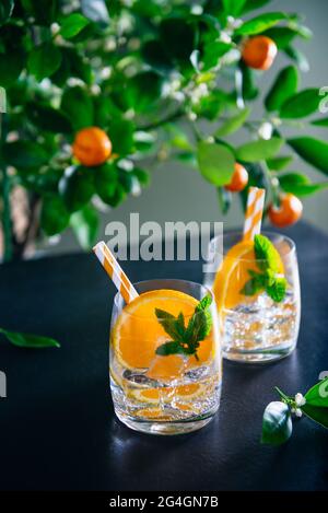 Two refreshing fruits cocktails with orange, mint and ice on dark table with a citrus tree background. Summer bar drinks. Vertical card. Selective Stock Photo