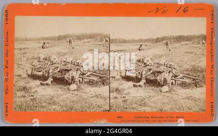 This photographic print stereograph shows a stretcher or litter in the foreground with several skeletal human remains piled on it. Clothing remains on the bones, including a boot that is placed on the ground in front of the stretcher with a skeletal leg extending from it. Three (3) men in civilian clothing are seen in the background. The man on the left is standing inside a hole holding a shovel. The other two men also hold tools and appear to be continuing to gather bodies or prepare graves. On the left side of the orange cardboard mount printed text reads &quot;1861 THE WAR FOR THE UNION 186 Stock Photo