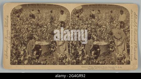 A stereograph titled "Cotton is King, Plantation Scene, Georgia, U. S. A." printed by Strohmeyer &amp; Wyman. The gelatin silver prints depict a group of unidentified African-American men, women, and children picking cotton in a field. A large basket of cotton is in the foreground between a child and a woman who is bent over picking bolls and putting them into a large sack looped around her shoulders. A man in the left background can be seen carrying a full basket of cotton bolls on his back. The publisher's name is printed along the left and right sides, with the title and copyright Stock Photo
