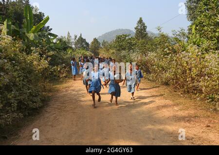LANJIA SAORA TRIBE. School girls students going back home from school. Puttasingh village in Odisha, India