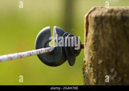 Close-up of the fastening of an electric fence in a horse paddock. Stock Photo