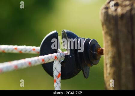 Close-up of the fastening of an electric fence in a horse paddock. Stock Photo