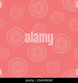 Peeled and halved oranges in white thin line on bright pink backdrop Stock Vector
