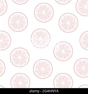 Vector illustration with pink oranges in line style on white background Stock Vector