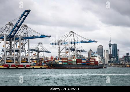 Container ship and cranes in port at Auckland, North Island, New Zealand Stock Photo