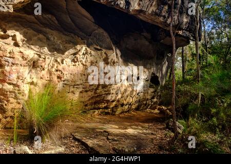 Overhanging sandstone rock shelter on Bomaderry Creek Gorge walking trail, Bomadarry, Nowra, NSW Australia Stock Photo
