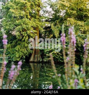 GREAT BRITAIN / England / London / Royal Botanic Gardens Kew /Lake in Kew Garden. Stock Photo