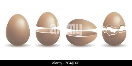 Chocolate chicken egg Stock Vector