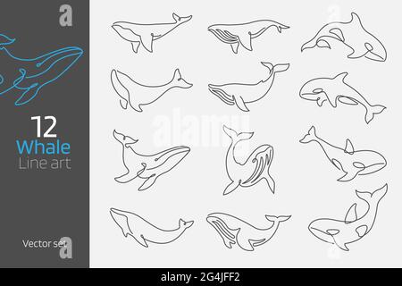 Set of whale continuous line art vector illustration for brand and logo design or tattoo minimal and contour lines concept. Stock Vector