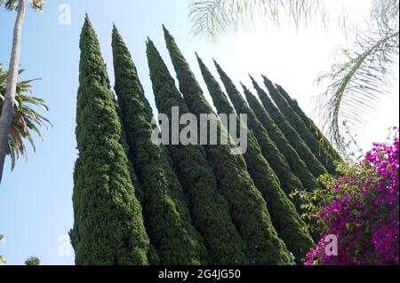 Los Angeles, California, USA 21st June 2021 A general view of atmosphere of actress Binnie Barnes former home/residence at Plaza Towers at 838 N. Doheny Drive on June 21, 2021 in Los Angeles, California, USA. Photo by Barry King/Alamy Stock Photo Stock Photo