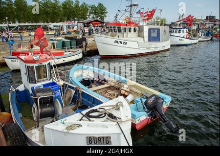 Fehmarn, Germany. 20th June, 2021. Various fishing boats are moored in a pier in the Burgstaaken municipal harbour. The harbour basin is to be dredged to a depth of five metres so that the small harbour becomes competitive again. (to dpa 'Fehmarn wants to deepen Burgstaaken municipal port') Credit: Gregor Fischer/dpa/Alamy Live News Stock Photo